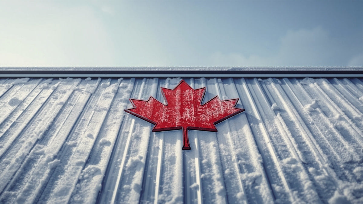 Canadian red maple leaf on a snow-covered metal roof under a winter sky