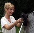 5 inch GutterBrush gutter guard installed in a gutter