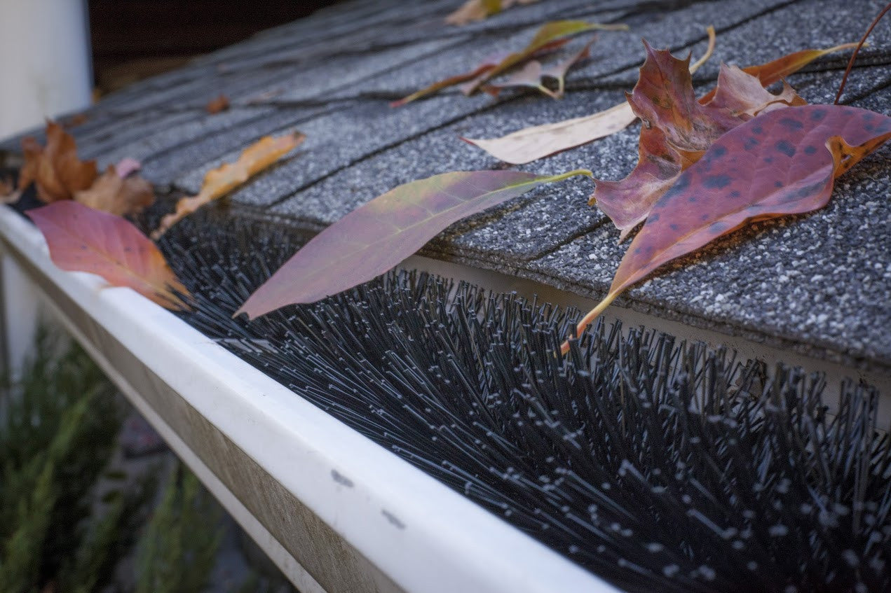 GutterBrush blocking leaves from entering gutter